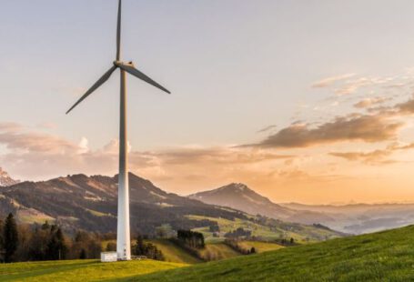 Environmental Sustainability - White Windmill